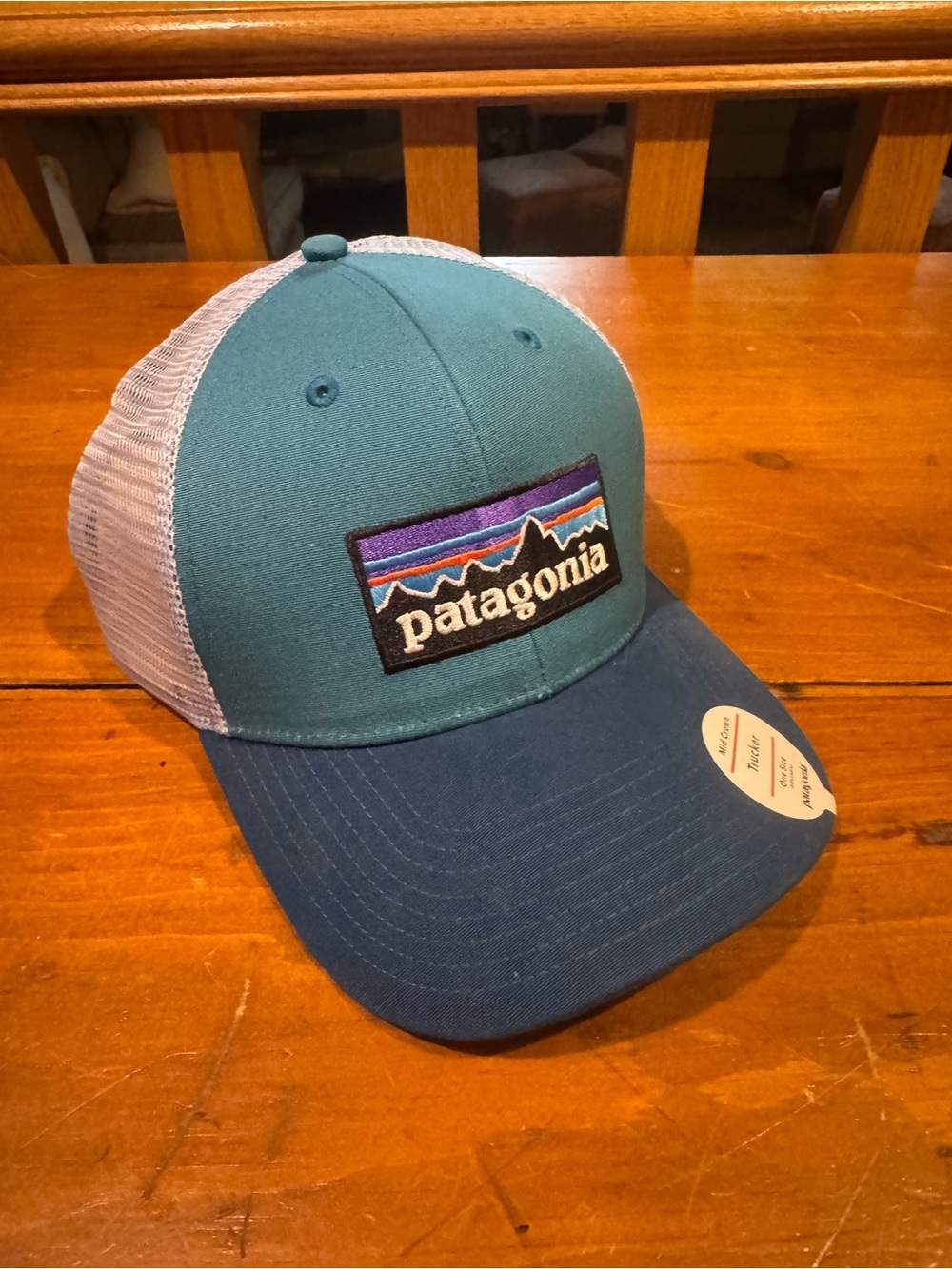PATAGONIA Trucker Hat